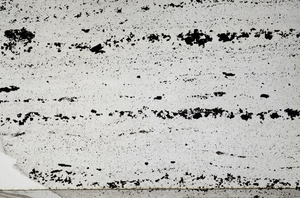 Plane Polarized, S64041