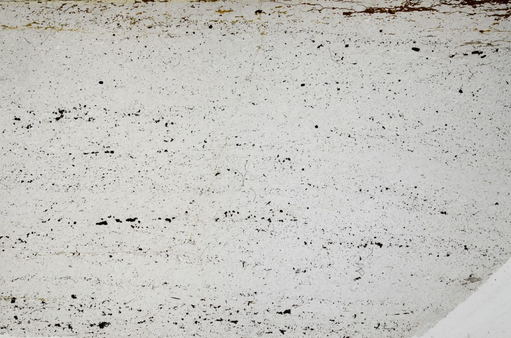 Plane Polarized, S64058