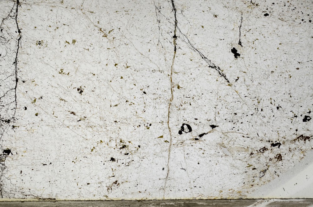 Plane Polarized, S64059