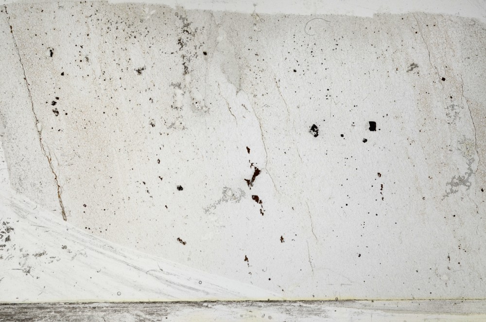 Plane Polarized, S64062