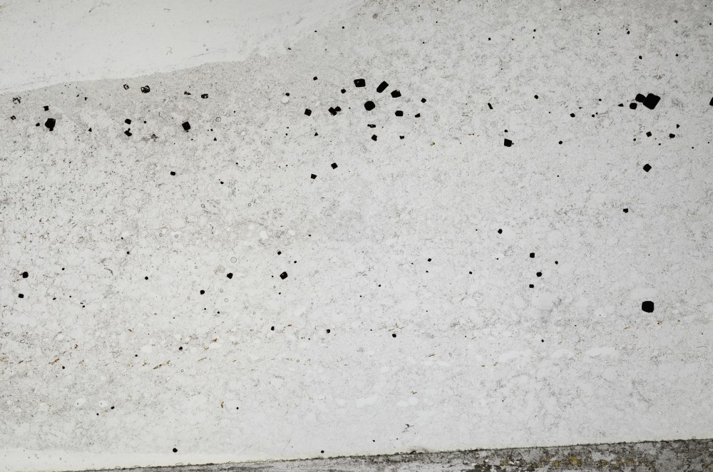 Plane Polarized, S64065