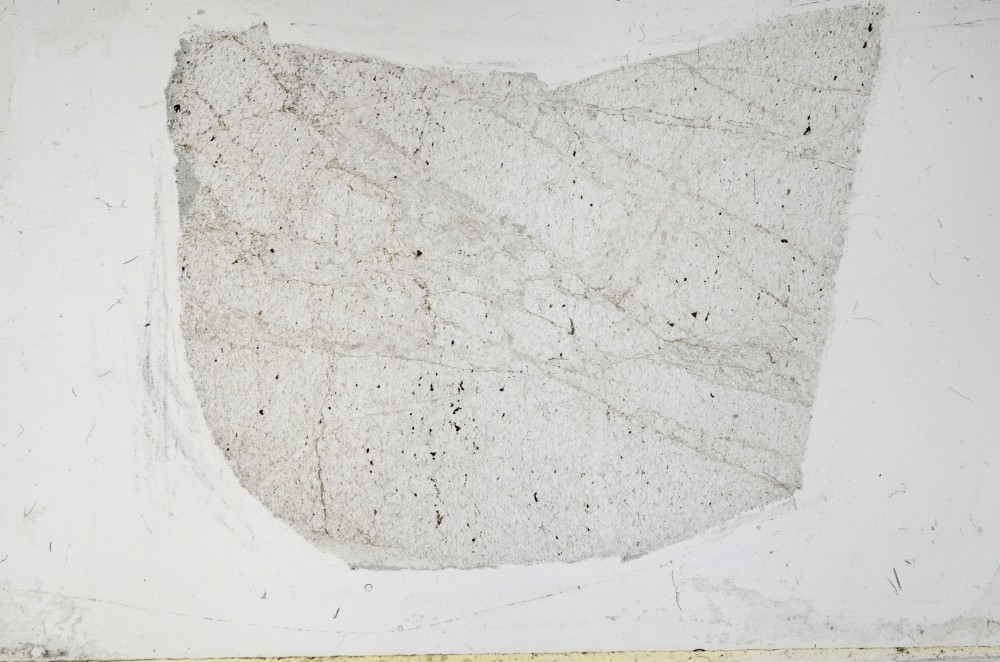 Plane Polarized, S64068