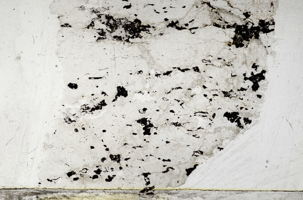 Plane Polarized, S64071