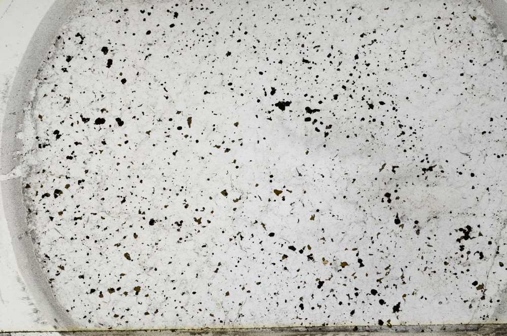 Plane Polarized, S64072