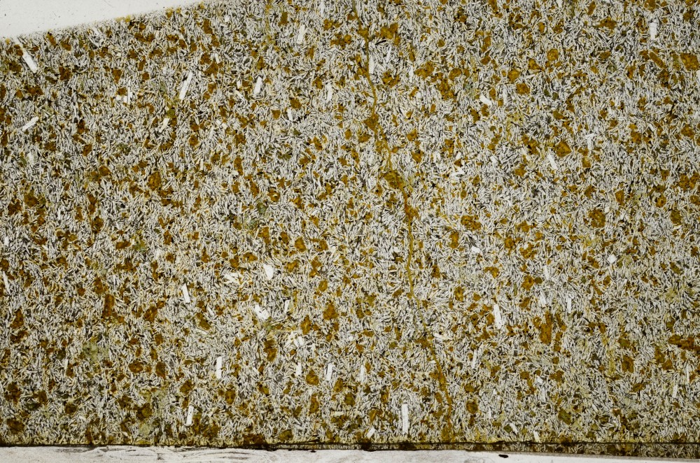 Plane Polarized, S64079