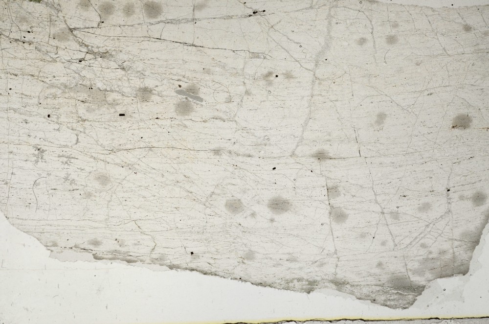 Plane Polarized, S64123