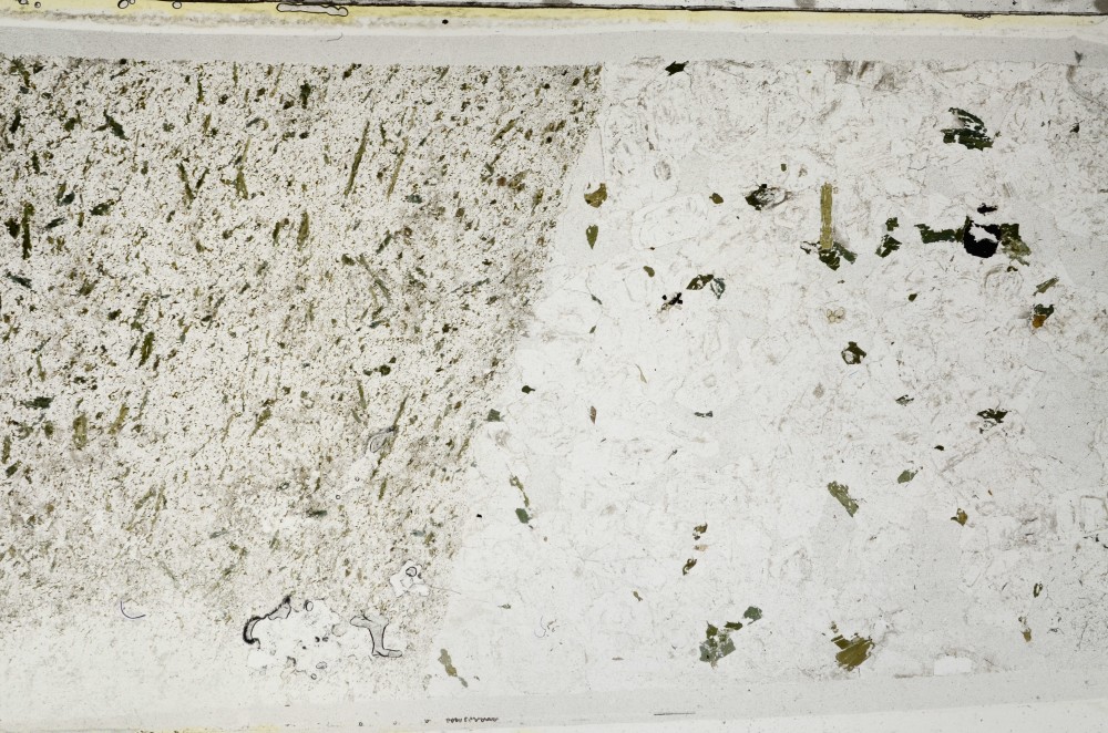 Plane Polarized, S64137