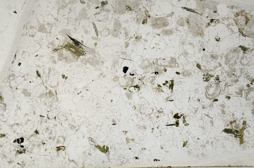 Plane Polarized, S64139