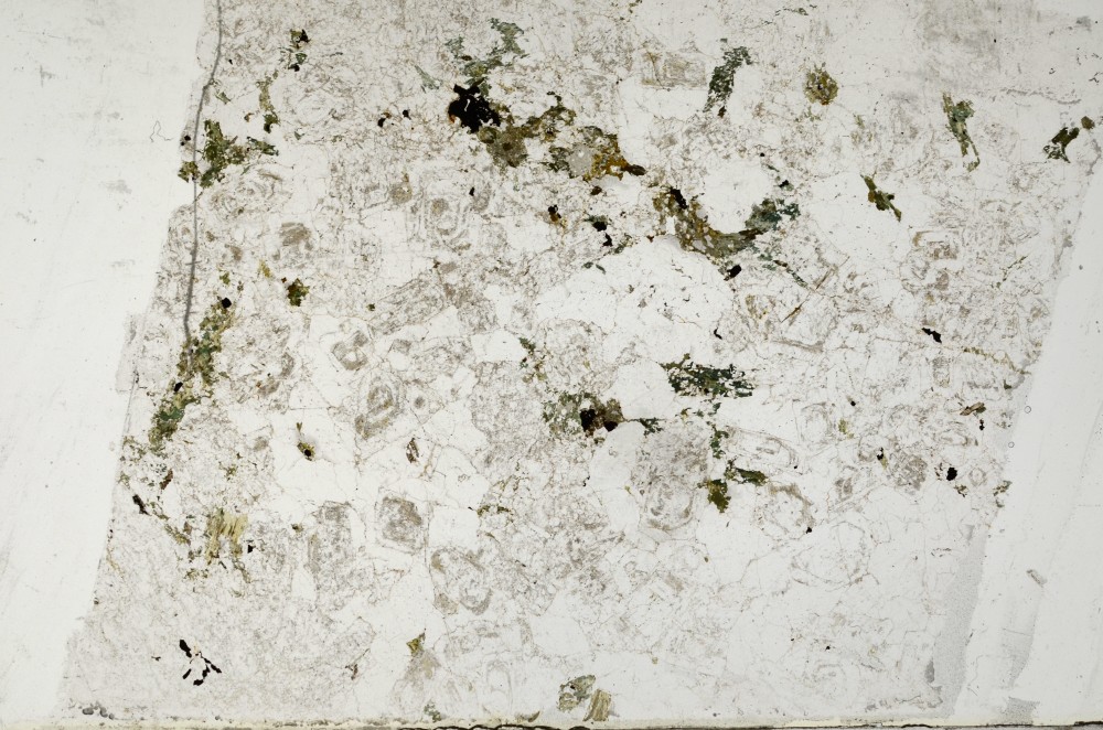 Plane Polarized, S64140
