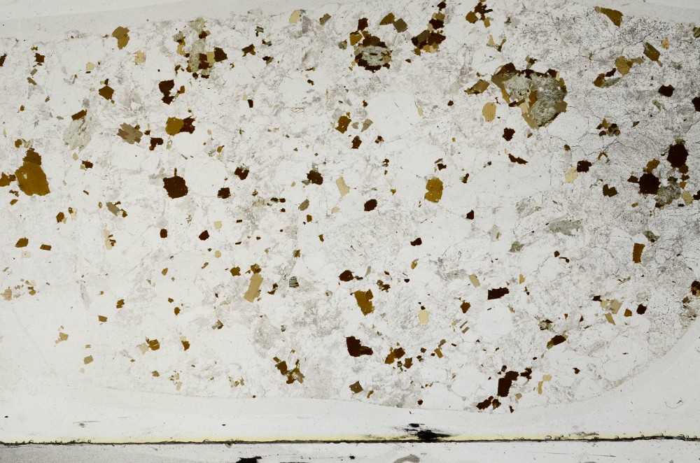 Plane Polarized, S64144