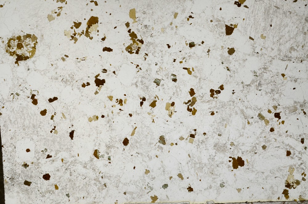 Plane Polarized, S64157