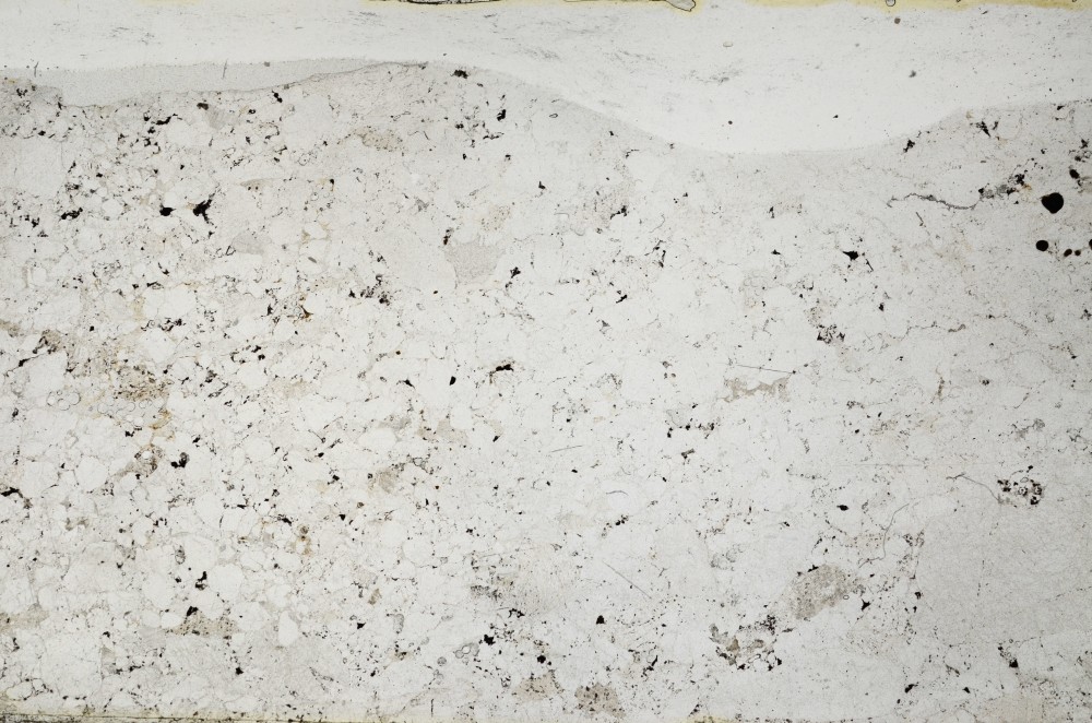 Plane Polarized, S64237