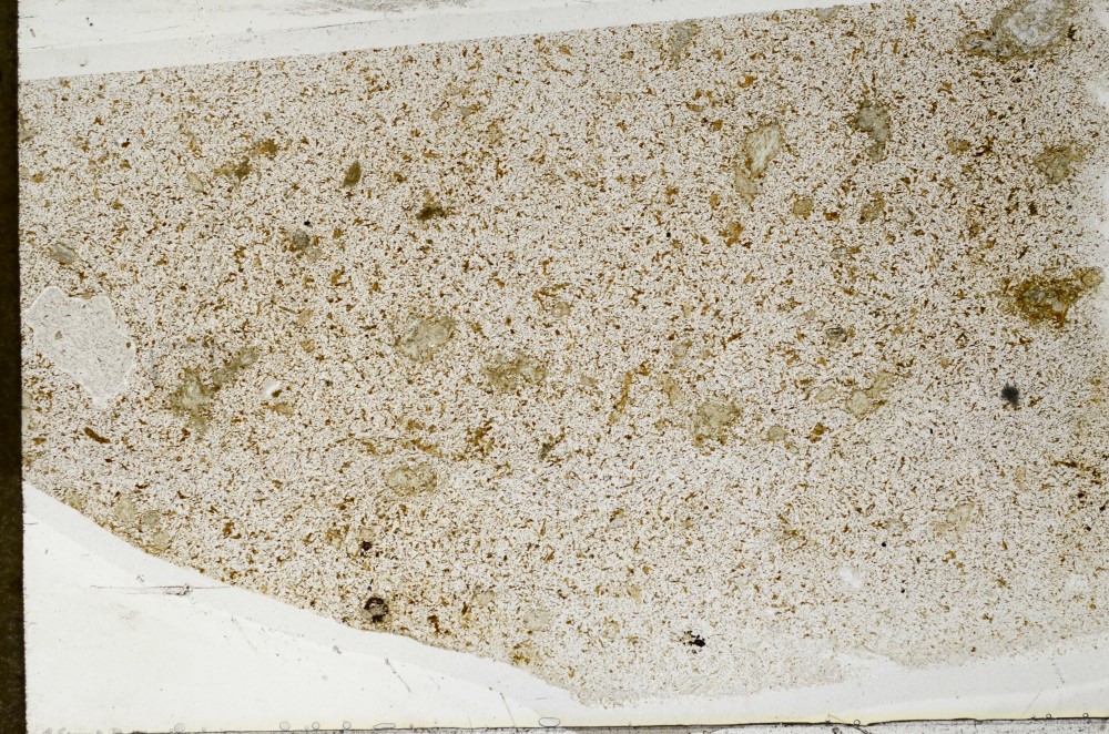 Plane Polarized, S64317