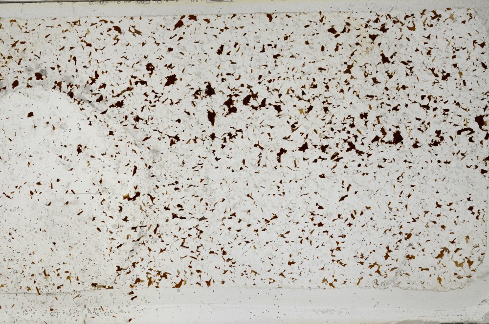 Plane Polarized, S64352