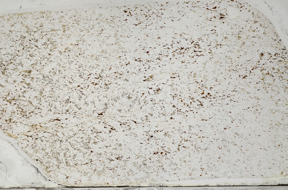 Plane Polarized, S64354