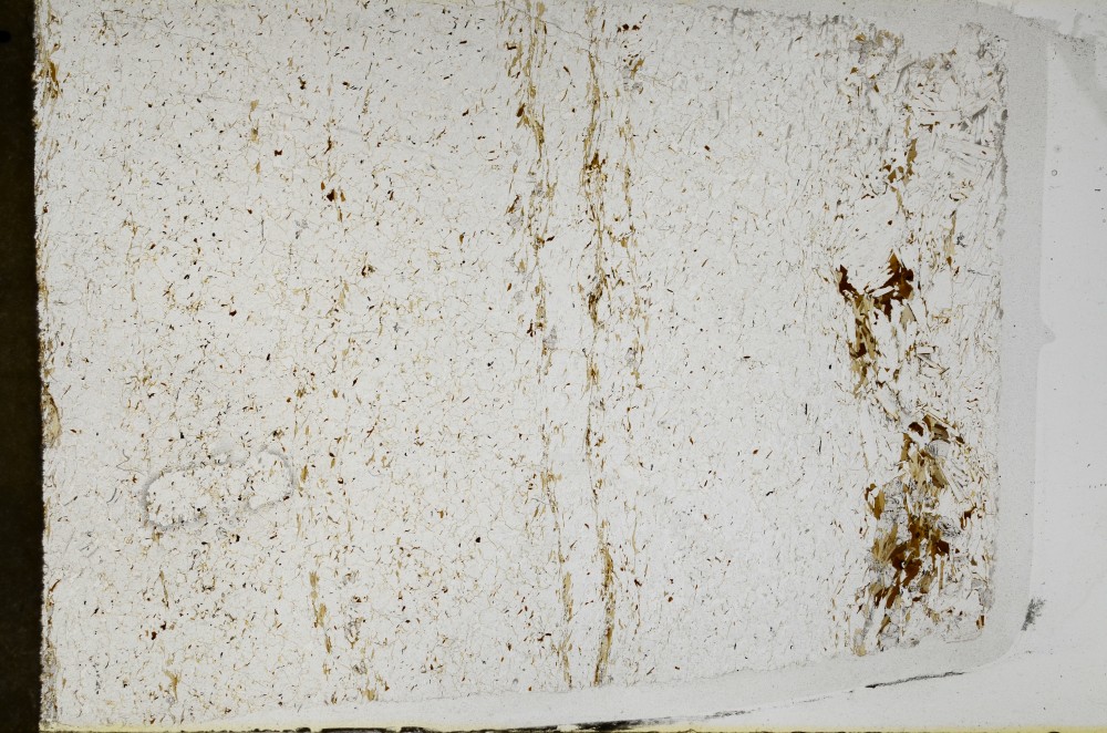 Plane Polarized, S64364