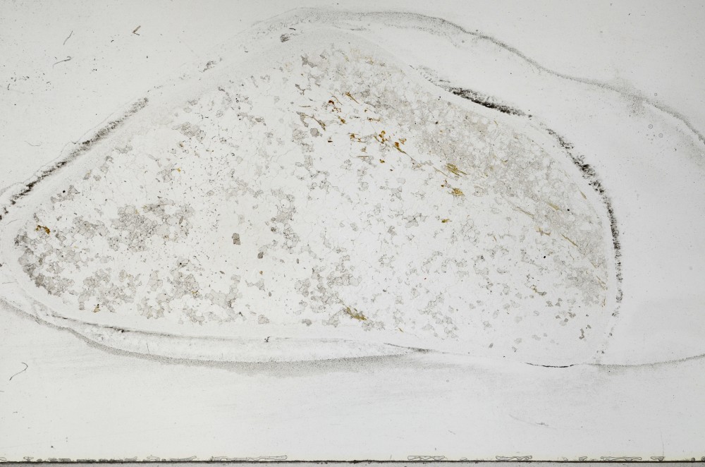 Plane Polarized, S64367