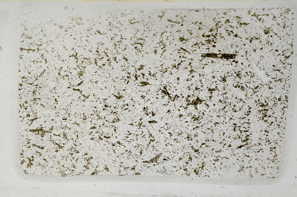 Plane Polarized, S64372/A