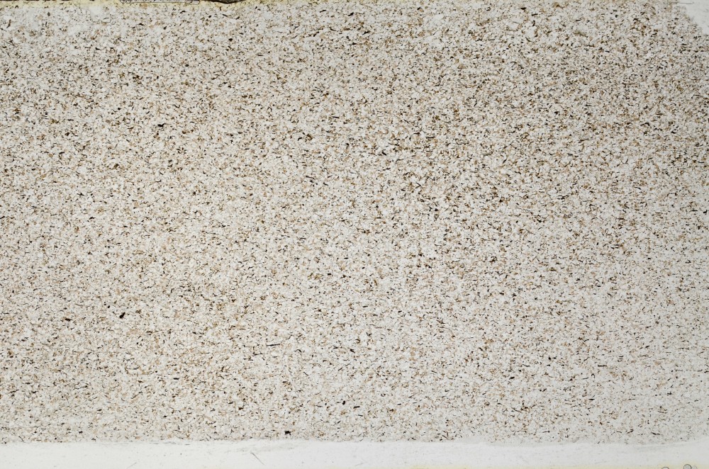 Plane Polarized, S64402