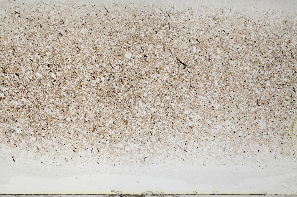 Plane Polarized, S64409