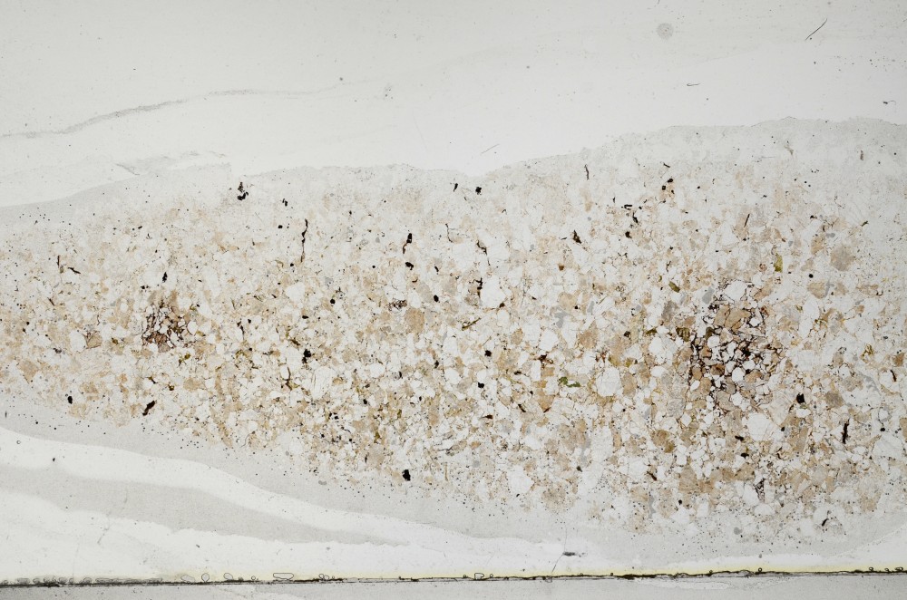 Plane Polarized, S64411