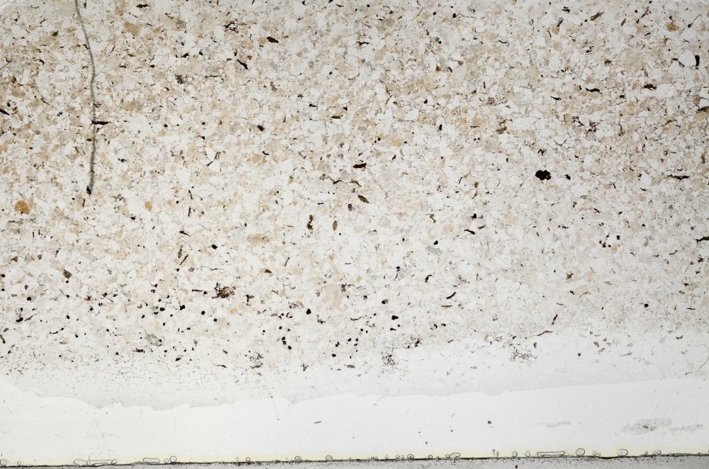 Plane Polarized, S64413