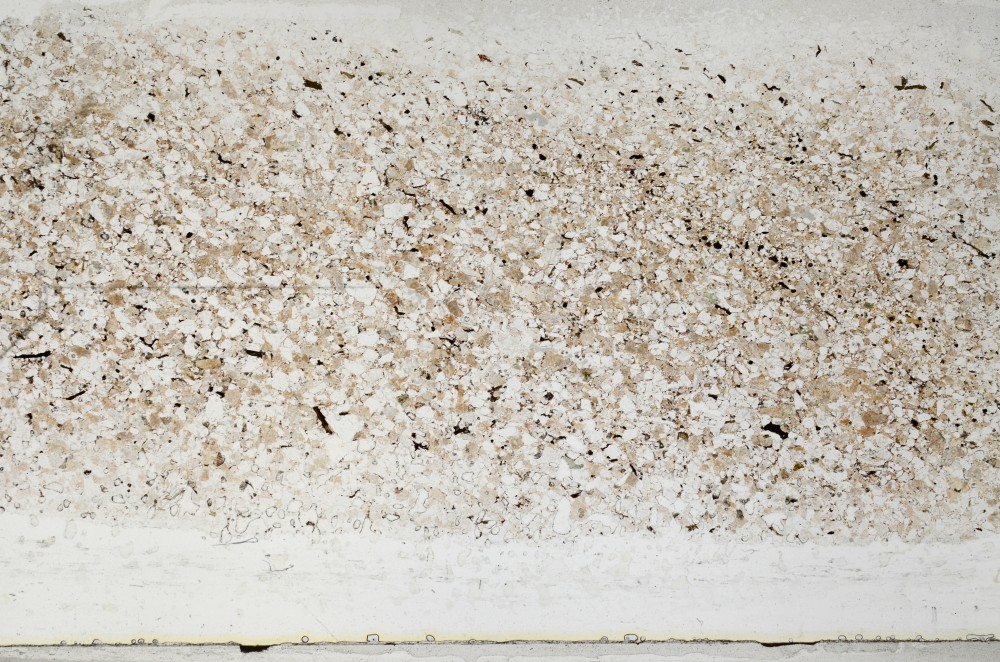 Plane Polarized, S64414