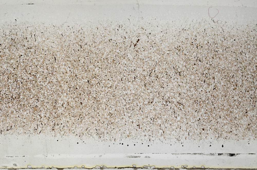 Plane Polarized, S64415