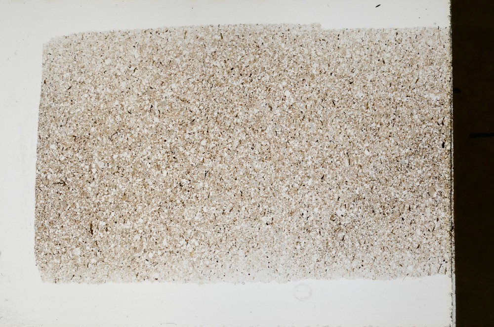 Plane Polarized, S64417