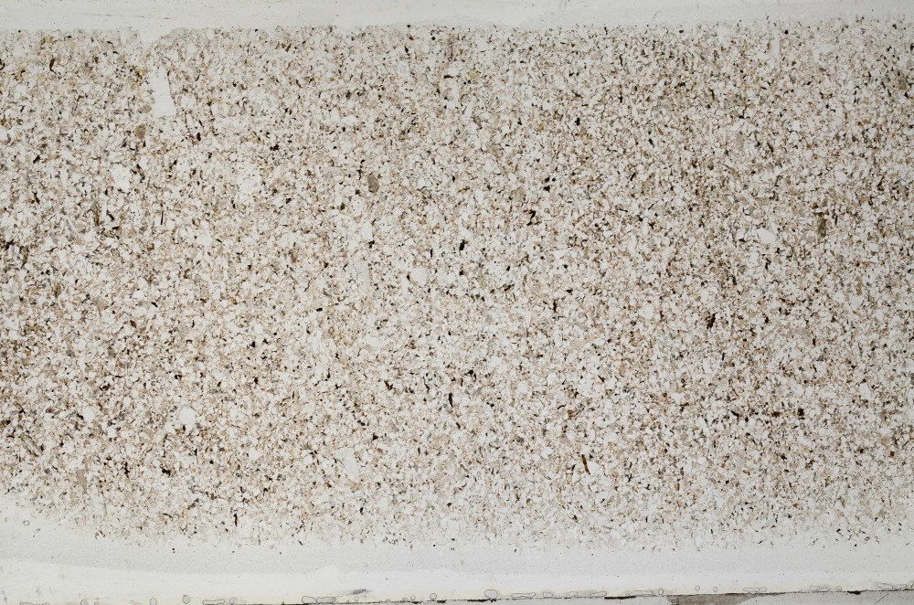 Plane Polarized, S64418