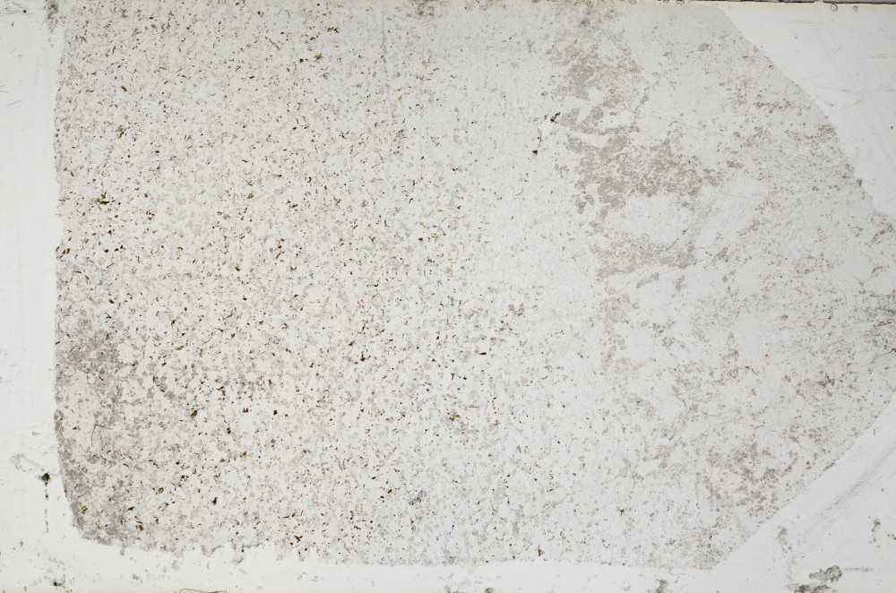 Plane Polarized, S64419