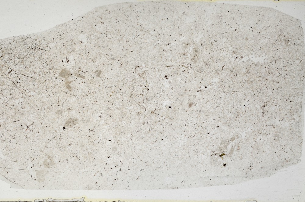 Plane Polarized, S64421