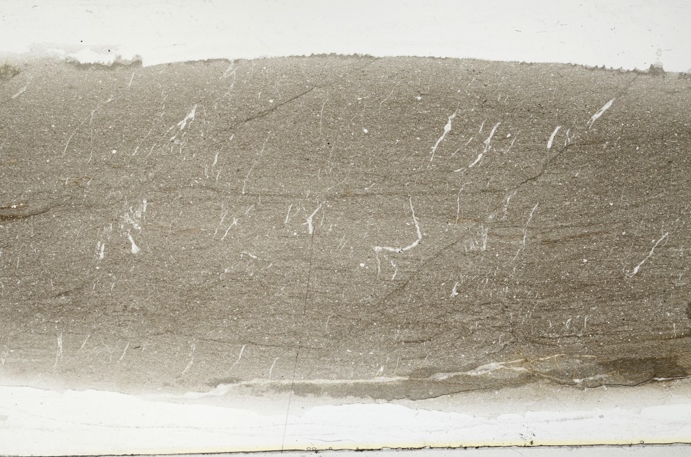 Plane Polarized, S64437
