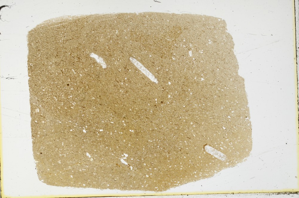 Plane Polarized, S64460