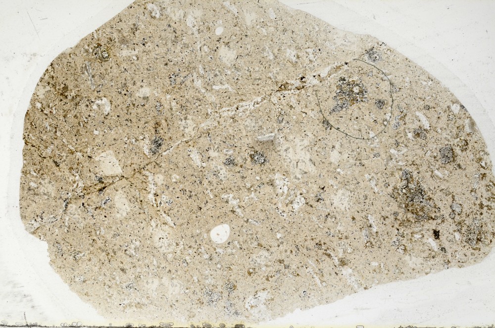 Plane Polarized, S64464