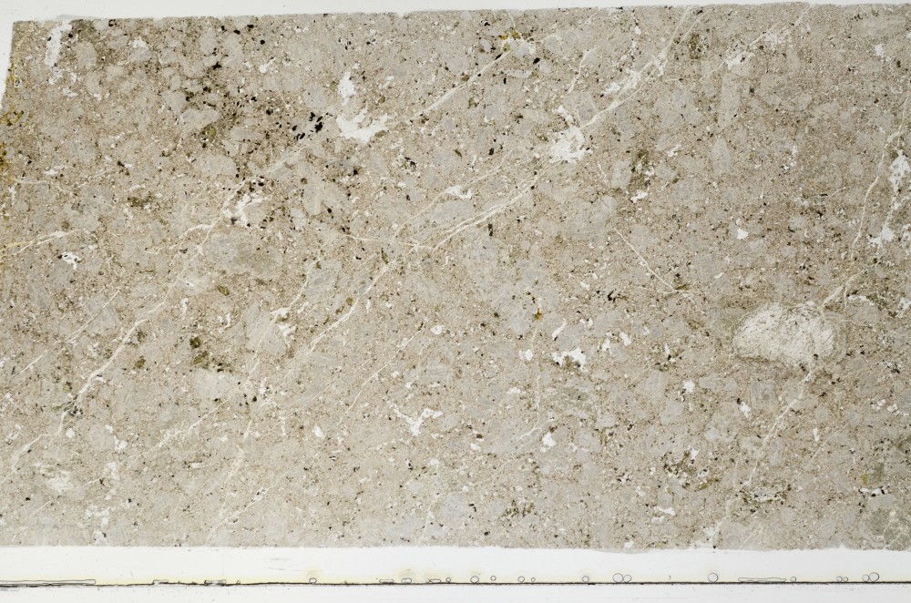 Plane Polarized, S64504