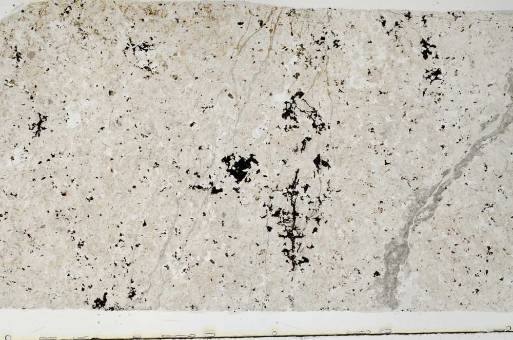 Plane Polarized, S64507