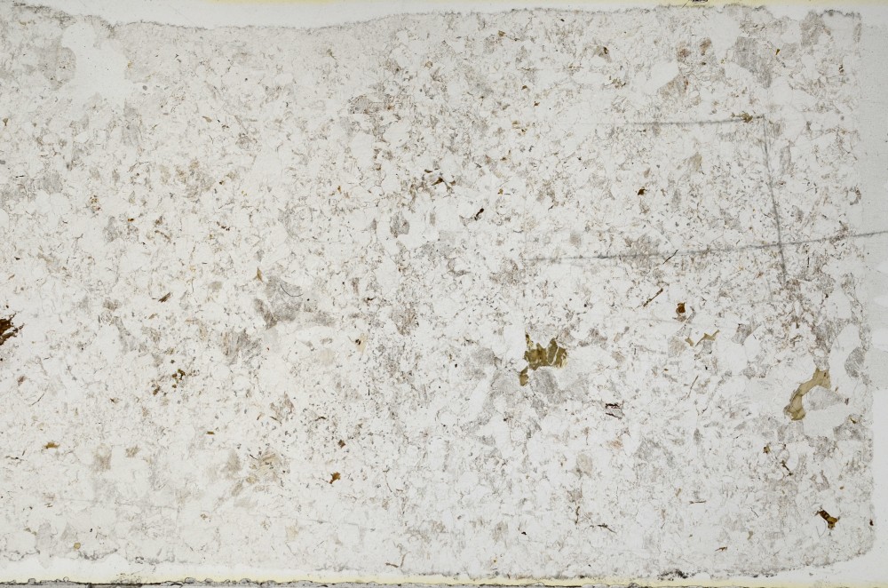 Plane Polarized, S64509