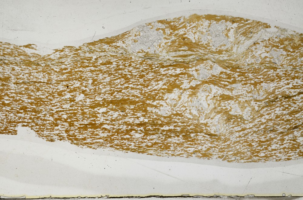 Plane Polarized, S64512