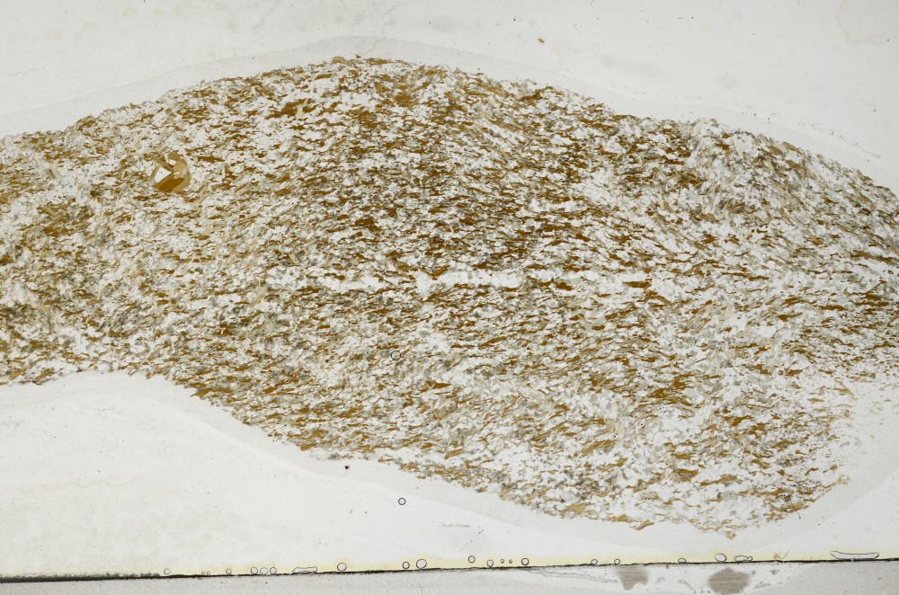 Plane Polarized, S64516