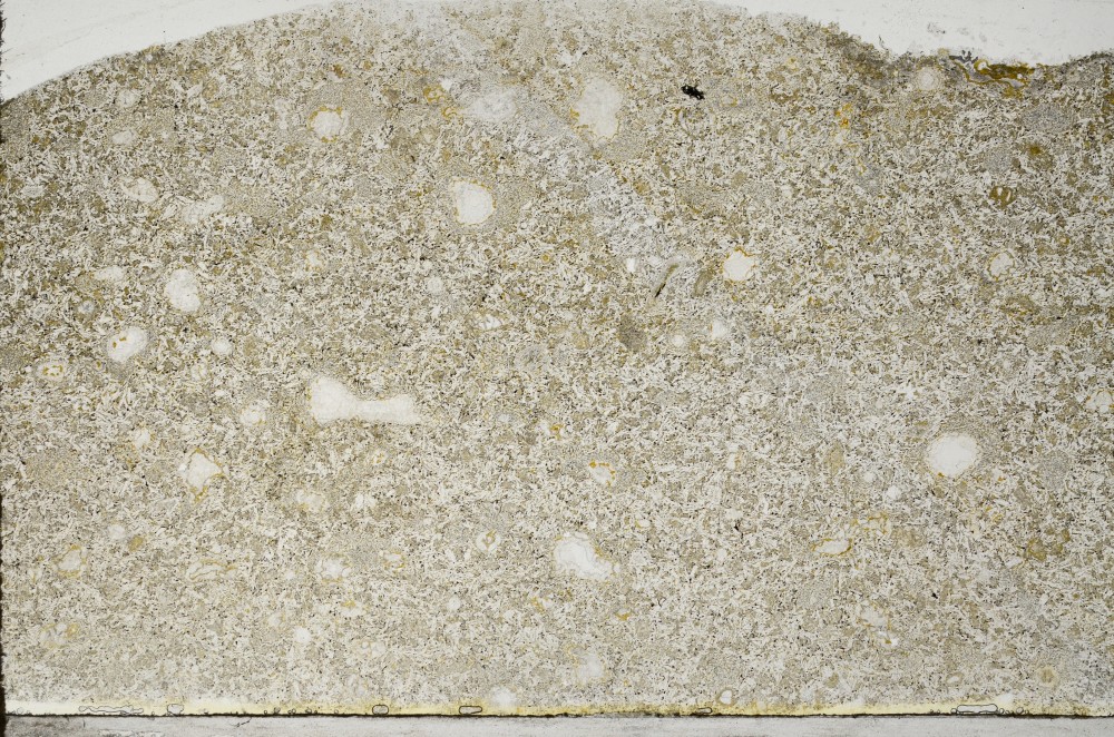 Plane Polarized, S64528