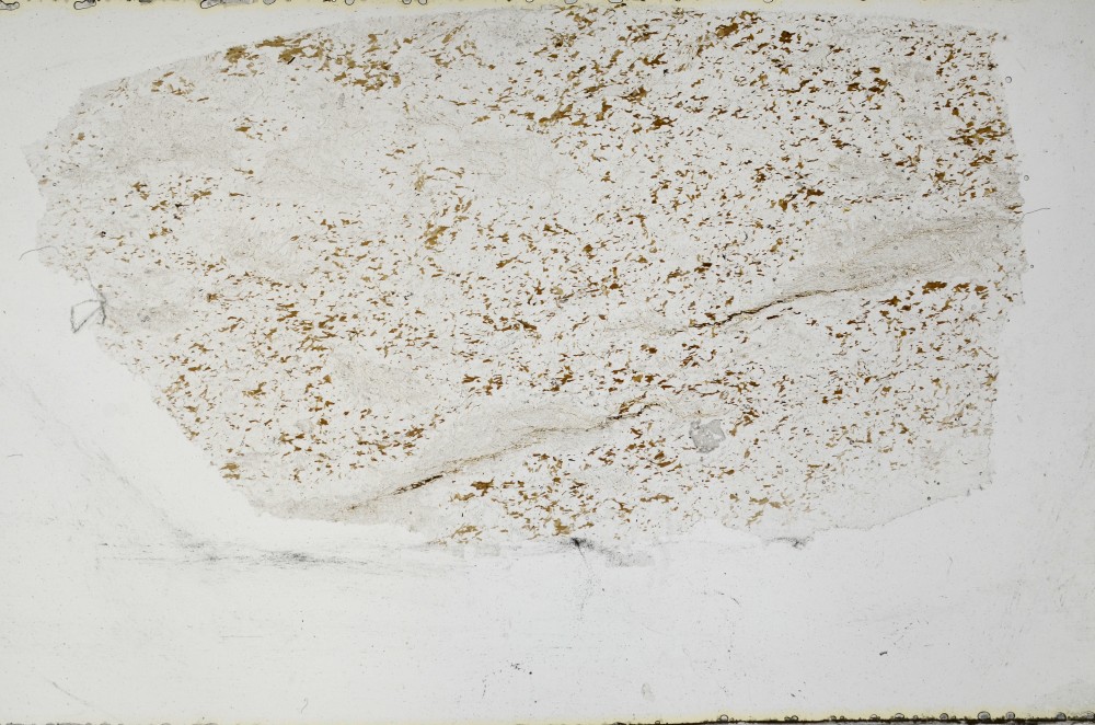 Plane Polarized, S64532