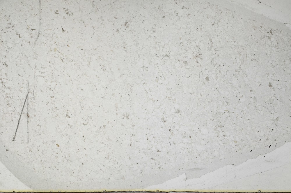 Plane Polarized, S64536