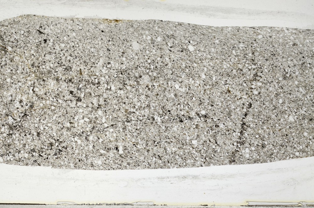 Plane Polarized, S64557