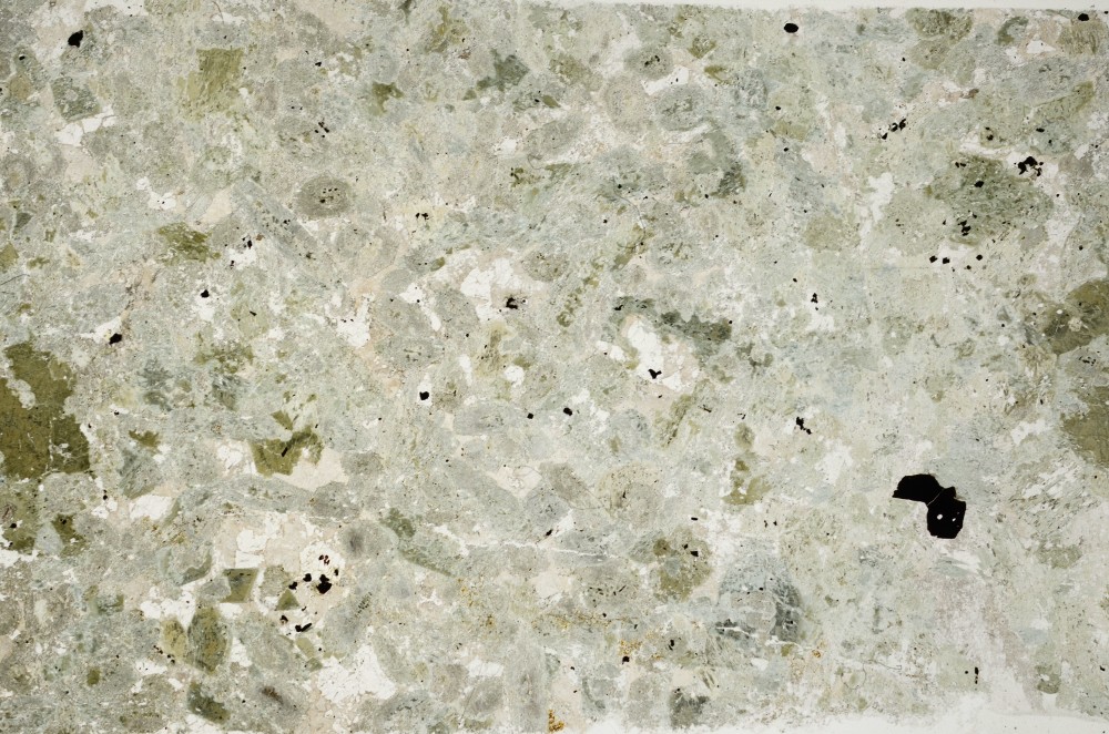 Plane Polarized, S64585