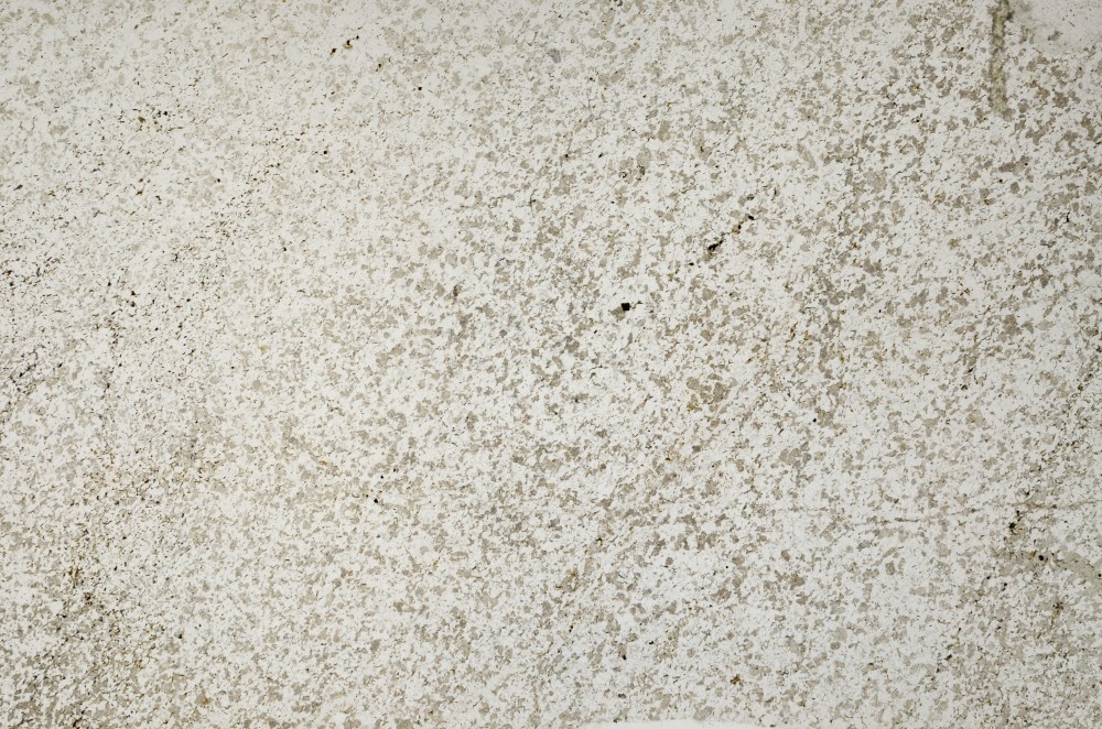 Plane Polarized, S64592
