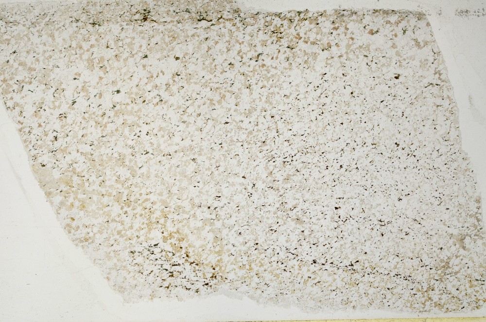 Plane Polarized, S64595