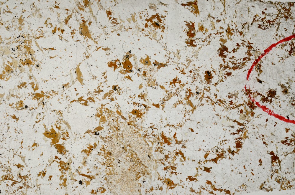 Plane Polarized, S64608