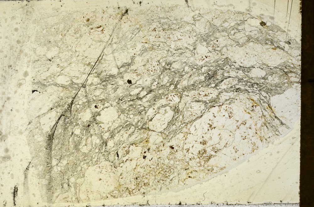 Plane Polarized, S64615
