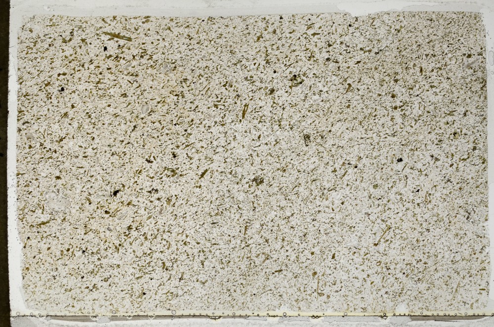 Plane Polarized, S64850